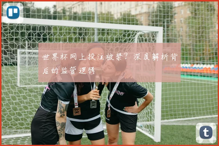 世界杯网上投注被禁？深度解析背后的监管逻辑