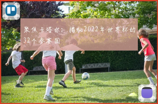 聚焦卡塔尔：揭秘2022年世界杯的32个参赛国