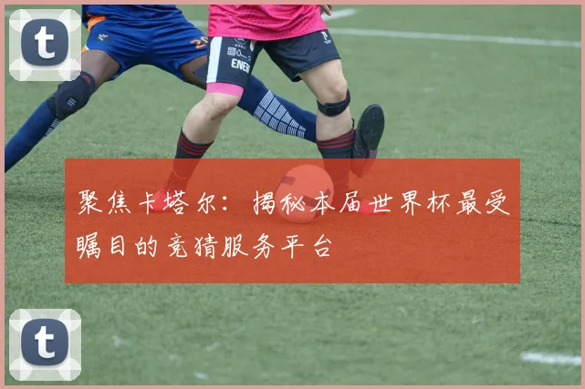 聚焦卡塔尔：揭秘本届世界杯最受瞩目的竞猜服务平台