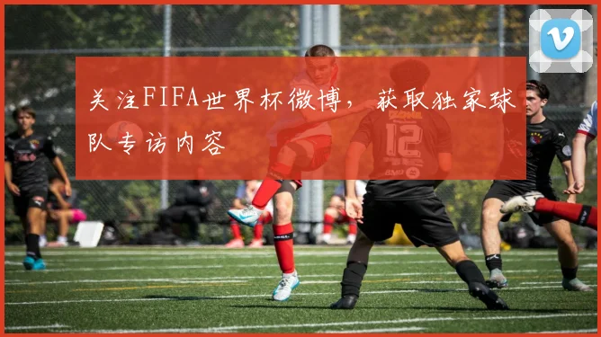 关注FIFA世界杯微博，获取独家球队专访内容