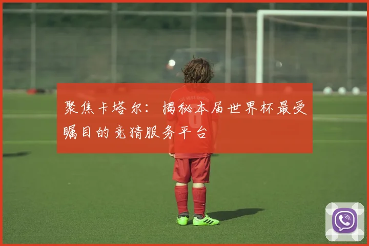 聚焦卡塔尔：揭秘本届世界杯最受瞩目的竞猜服务平台